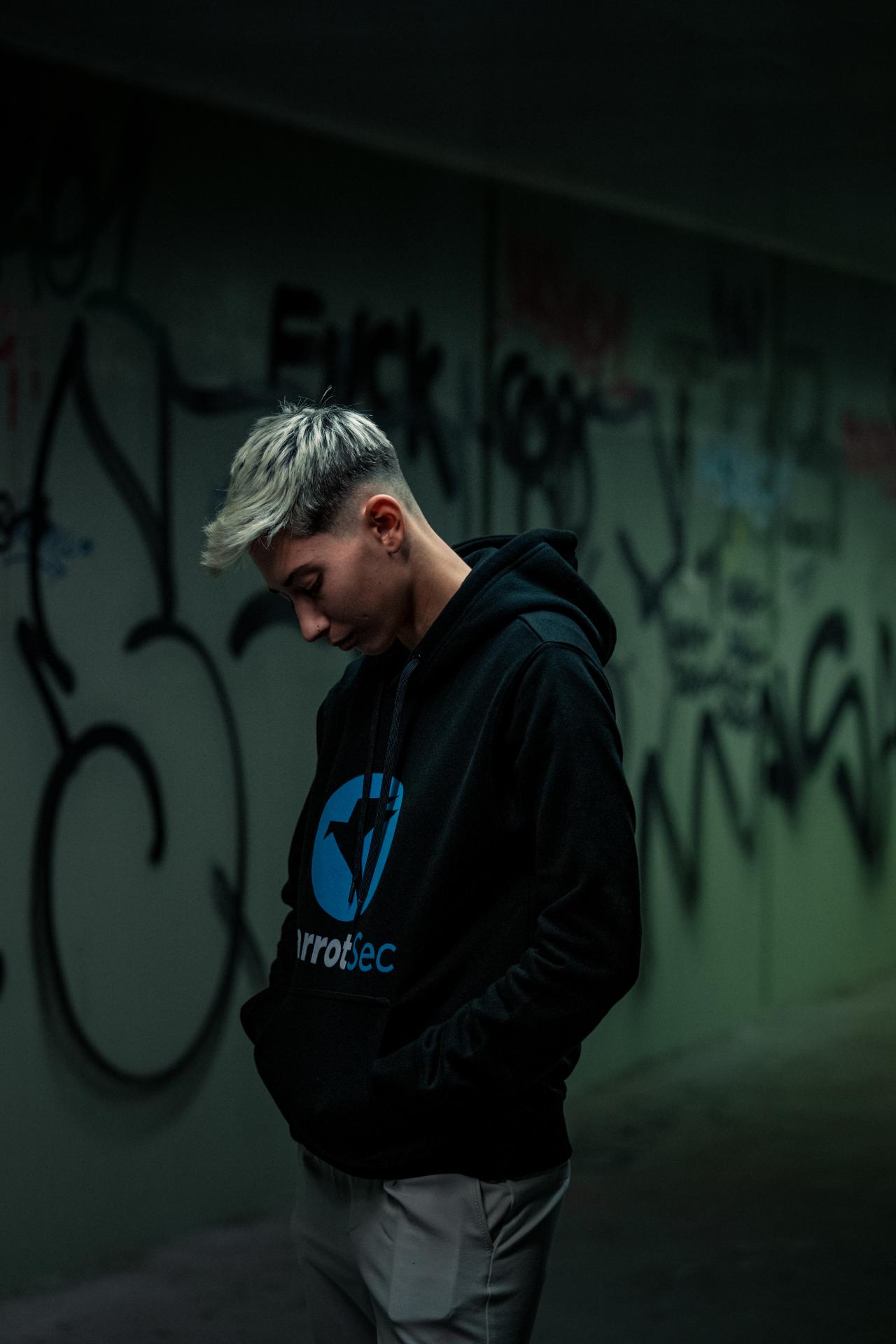ParrotSec Hoodie