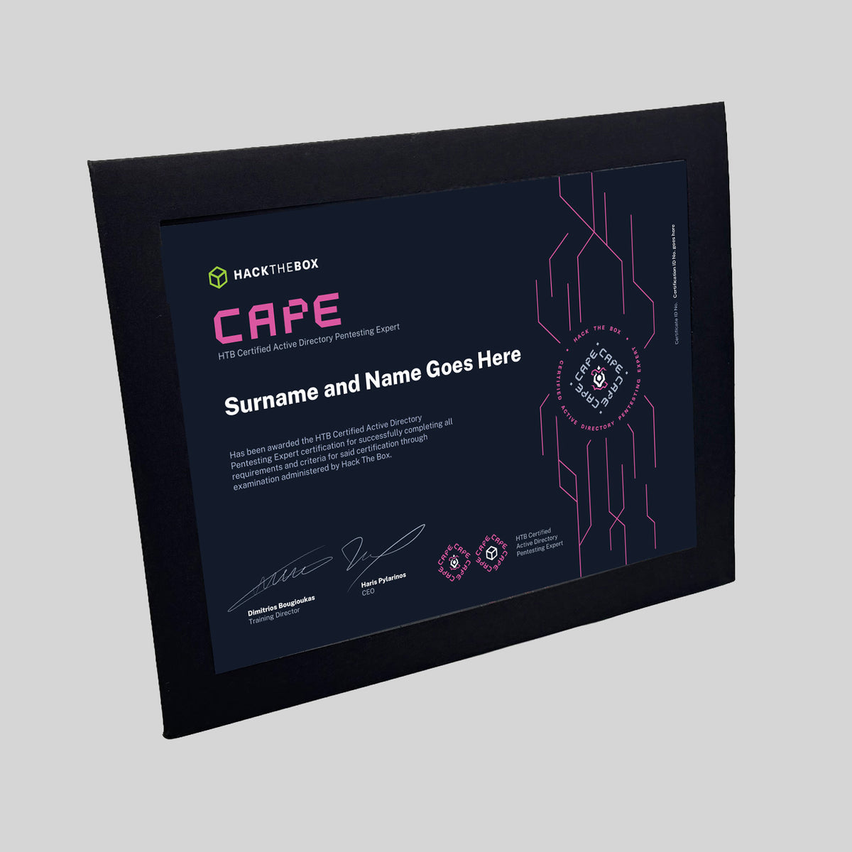 Hack The Box CAPE Certification Package
